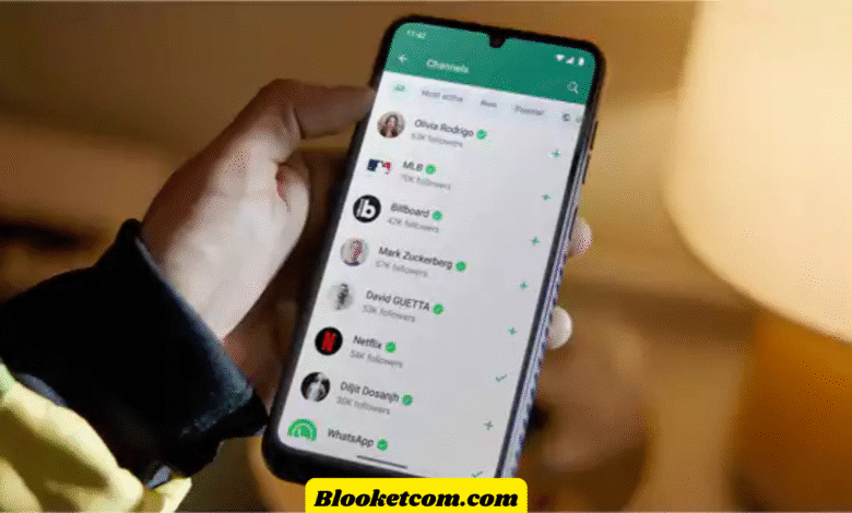 logicalshout updates whatsap