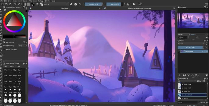 Animation software