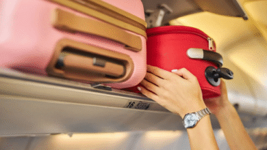 American Airlines baggage